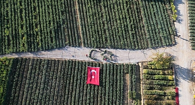 Cumhuriyetin 101. yılı için zeytin fidanlarıyla Türk Bayrağı’nı oluşturdu