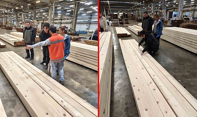 Deprem lojmanlarının odunları Düzce’den