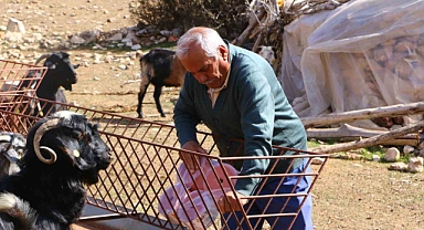 Elmalı’da Çoban Haritası Projesi tamamladı