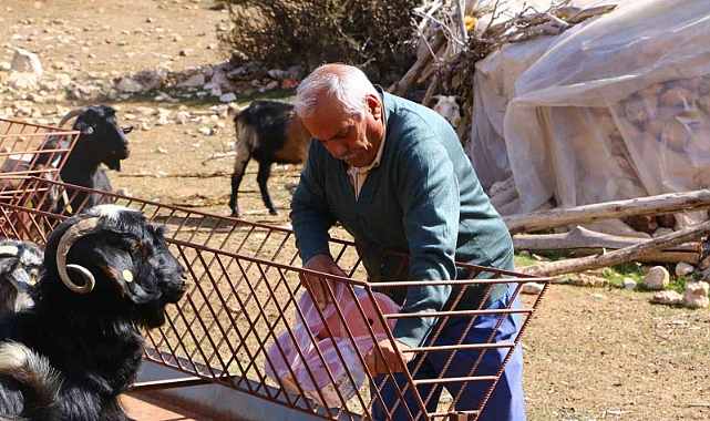 Elmalı’da Çoban Haritası Projesi tamamladı