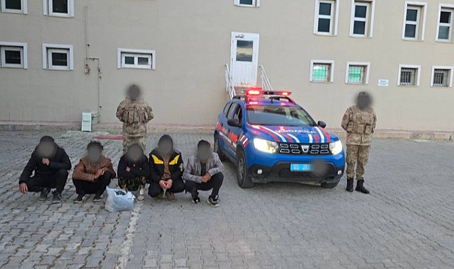 Erciş'te 5 Düzensiz Göçmen Yakalandı