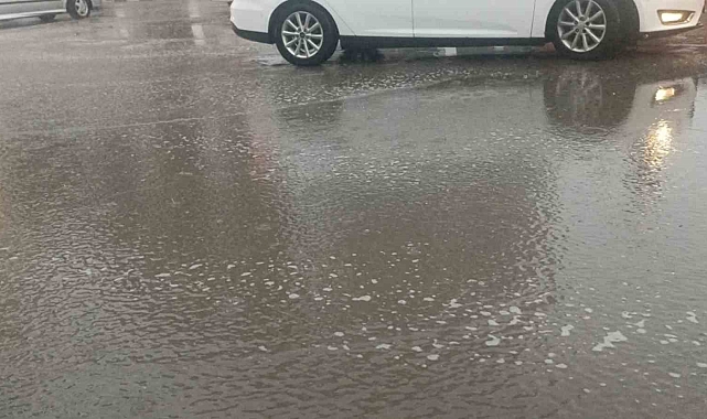 Erciş'te yağmur gün boyu etkili oldu