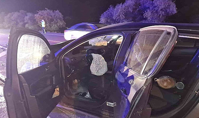Erzincan'da meydana gelen trafik kazasında 7 kişi yaralandı