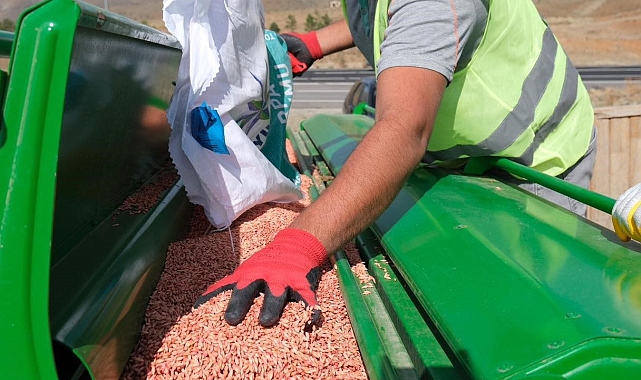 Erzincan'da güzlük hububat ekimleri yapılıyor