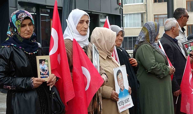 Evlat nöbetindeki Vanlı aileler: "DEM Parti bizim evlatlarımız için de yürüyüş yapsın"