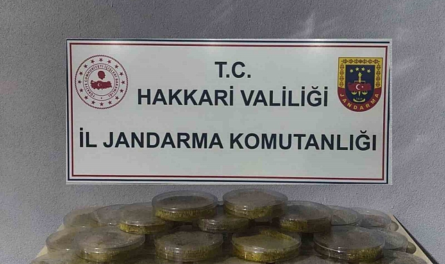 Gümrük kaçakçılığı operasyonu