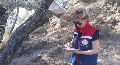 Hasat öncesi zeytin bahçeleri kontrol edildi