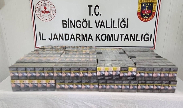 Kaçak kazı yapan 2 kişi yakalandı