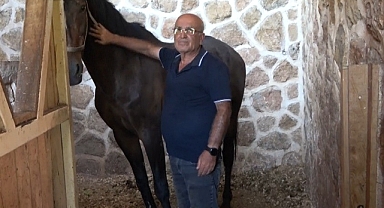 Kahramanmaraş’ta at yetiştiriciliğine ilgi arttı