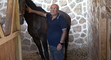 Kahramanmaraş’ta at yetiştiriciliğine ilgi arttı