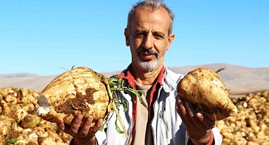 Kahramanmaraş’ta şeker pancarı hasadı başladı