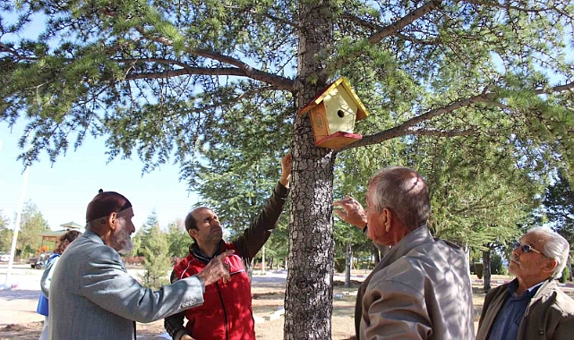 Karaman’da kuş evleri ağaçlara yerleştirildi