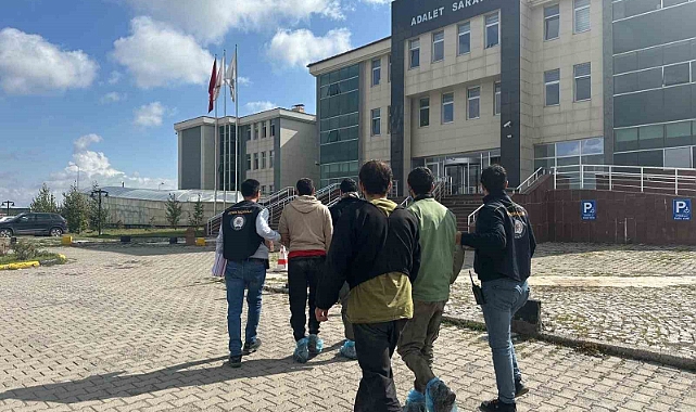 Kars’ta 7 düzensiz göçmen yakalandı