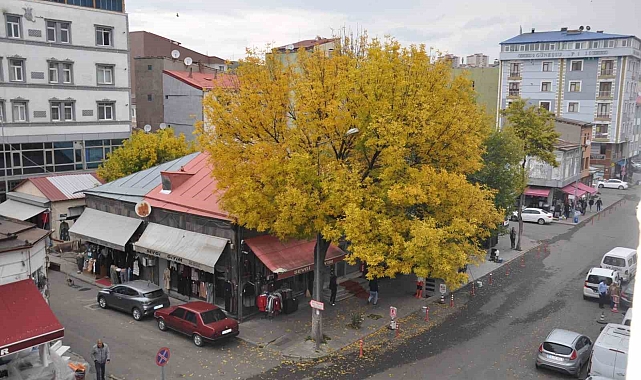 Kars'ta sonbahar güzelliği