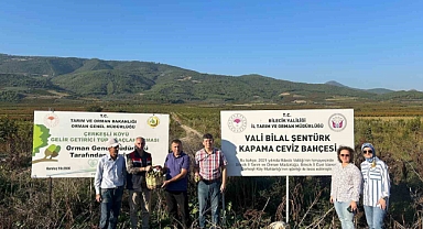 Kavaklığı ceviz bahçesine dönüştüren muhtarlık ilk hasadını yaptı