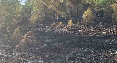 Muğla Köyceğiz yangını kontrol altına alındı