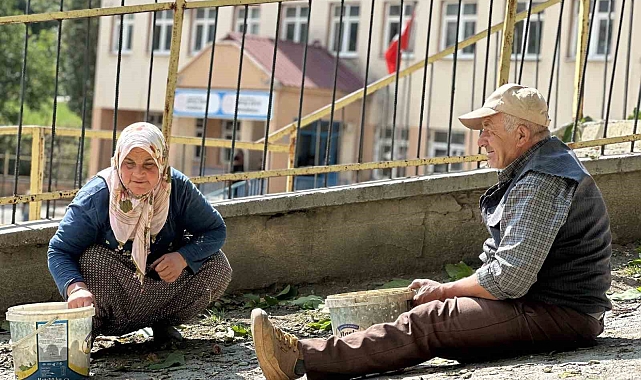 Okul yolunda ceviz ikramı