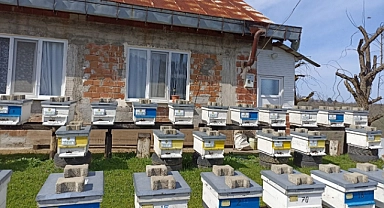 Orman köylüsüne 7 milyon 205 bin TL destek