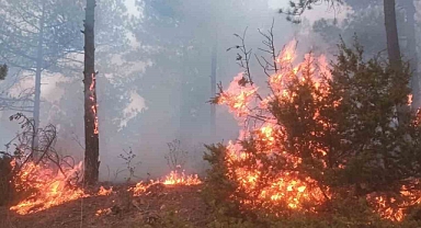 Orman yangını 3 saatte kontrol altına alındı