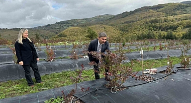 Örnek tarlada inceleme