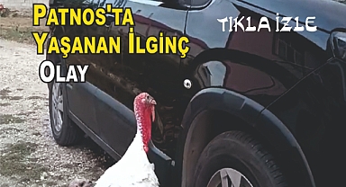 Patnos'ta Yaşanan İlginç Olay