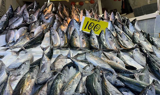 Rize’de hamsi tezgaha 200 TL’den girdi, palamudun saltanatı devam etti