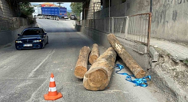 Tır alt geçitten geçerken tomrukları yola düşürdü