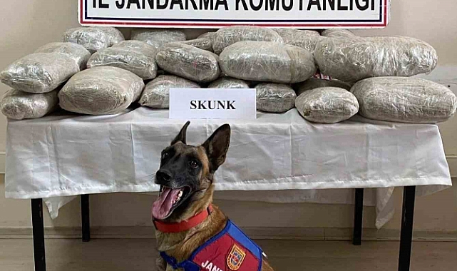 Van’da uyuşturucu operasyonunda 3 kişi tutuklandı