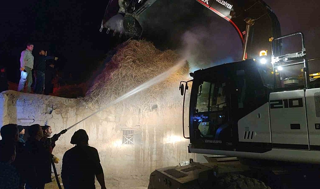 Van'da yangın 5 bin bağ otu kül etti
