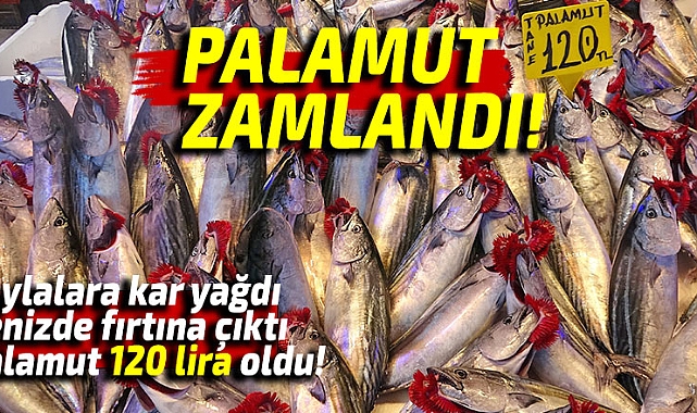 Yaylalara kar yağdı, denizde fırtına çıktı palamudun fiyatı arttı
