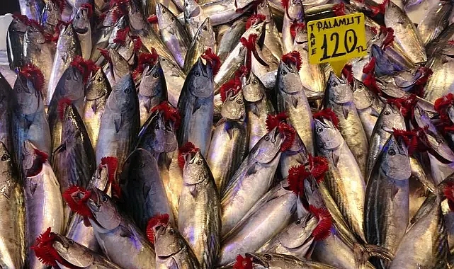 Yaylalara kar yağdı, denizde fırtına çıktı palamudun fiyatı arttı