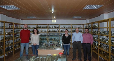 Yeni bir bakteri türü bulundu