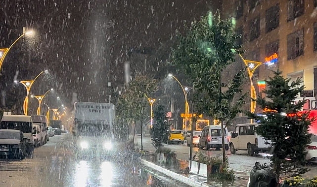 Yüksekova'ya kış erken geldi: Lapa lapa kar yağışı başladı
