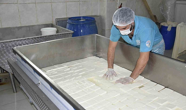 Yüzde 50 hibe desteğiyle kurulan fabrikada süt ürünleri üretiliyor