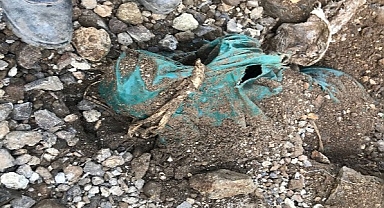 7 aydır kayıp olan şahsın parçalanarak gömülmüş cesedi bulundu