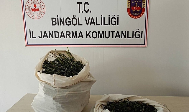 7 kilo esrar ele geçirildi
