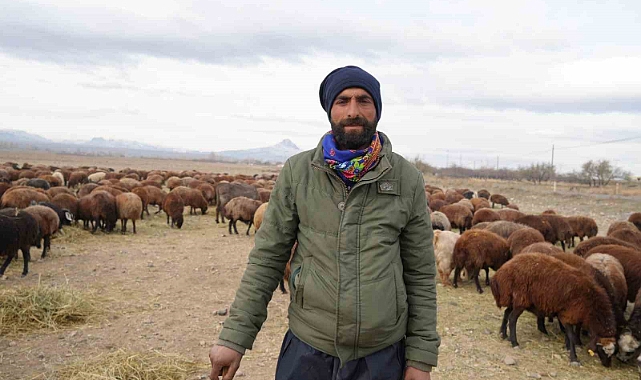 8 aydır memleketten ayrı olan sürüler Iğdır’a geri döndü