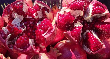 Adıyaman’ın organik narları Avrupa yolcusu