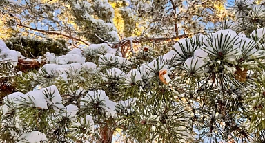 Afyonkarahisar’da kar manzaraları