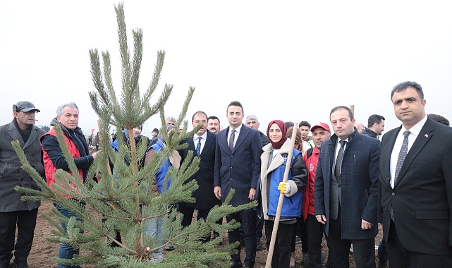 Ağrı’da binlerce fidan toprakla buluştu