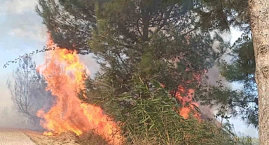 Antakya’da ormanlık alandaki yangın büyümeden söndürüldü