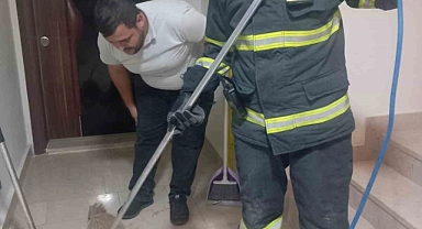 Apartmana giren tilki itfaiye ekiplerince yakalanarak doğaya salındı