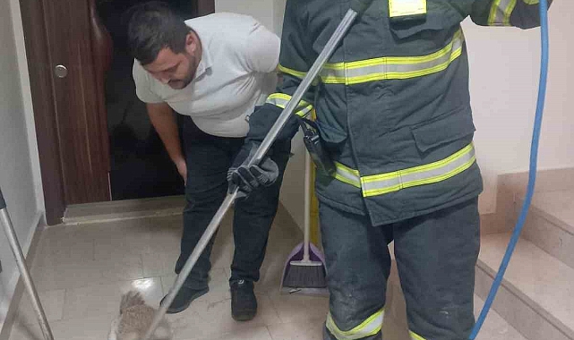 Apartmana giren tilki itfaiye ekiplerince yakalanarak doğaya salındı