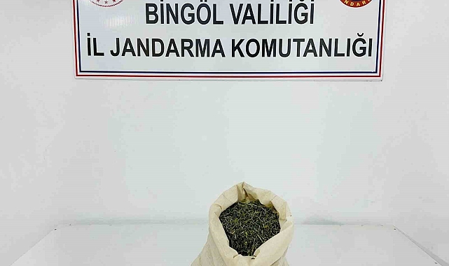 Aranan 2 şahıs yakalandı Bingöl'de