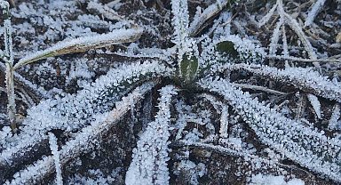 Ardahan Dondu! Kar yağışının ardından soğuklar etkili oldu