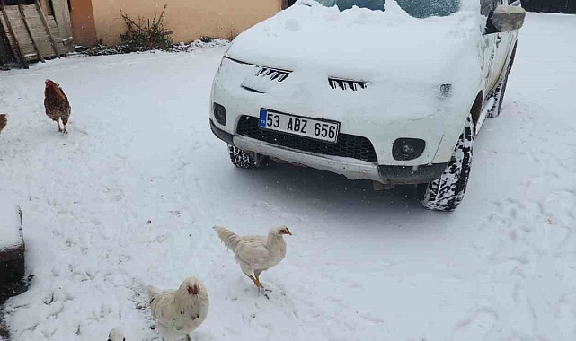 Ardahan güne kar yağışıyla uyandı