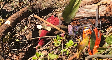 Artvin’de kestiği ağaç üzerine devrilen adam hayatını kaybetti