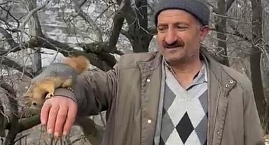 Bahçesaray’ın sevimli sincabı ilgi odağı oldu