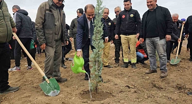 Bandırma’da yanan alanda 750 çam fidanı toprakla buluştu