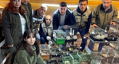 Bartın’da yasa dışı üretimde kullanılan kuşlar doğaya salındı